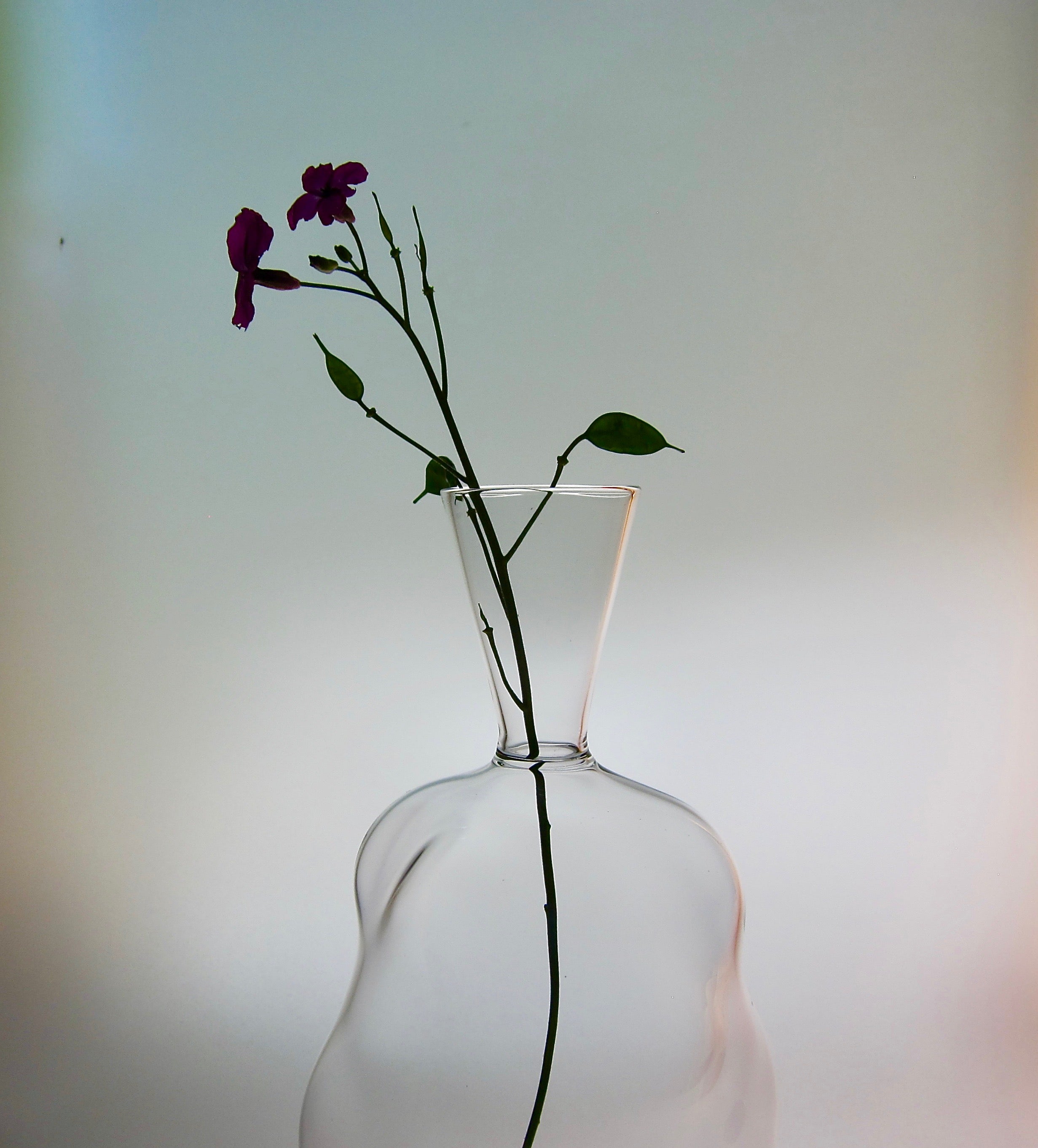 Vase-Organic